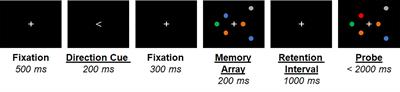 Reduced Dorsal Visual Oscillatory Activity During Working Memory Maintenance in the First-Episode Schizophrenia Spectrum